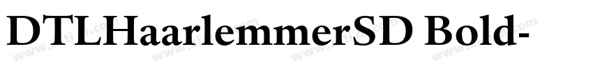 DTLHaarlemmerSD Bold字体转换